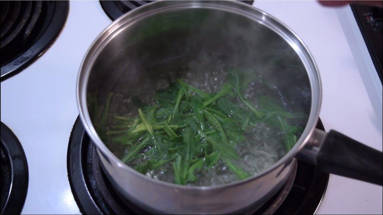 How To Harvest & Cook Wild Lettuce Greens - Wild Edible Recipes