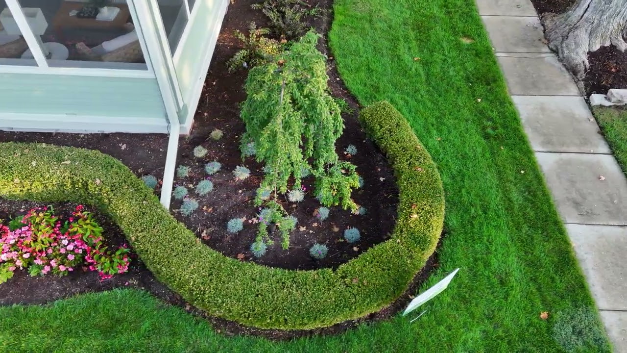 Extensive softscape landscape for front side of house (L23)
