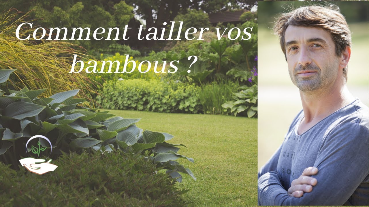 🤔Comment tailler ses Bambous