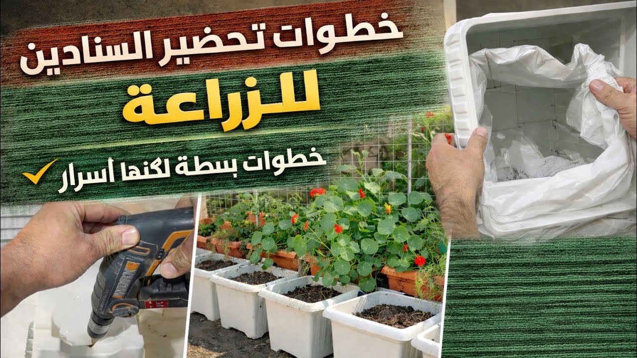 خطوة بخطوة تجهيز السنادين لزراعة ورد الصباح 