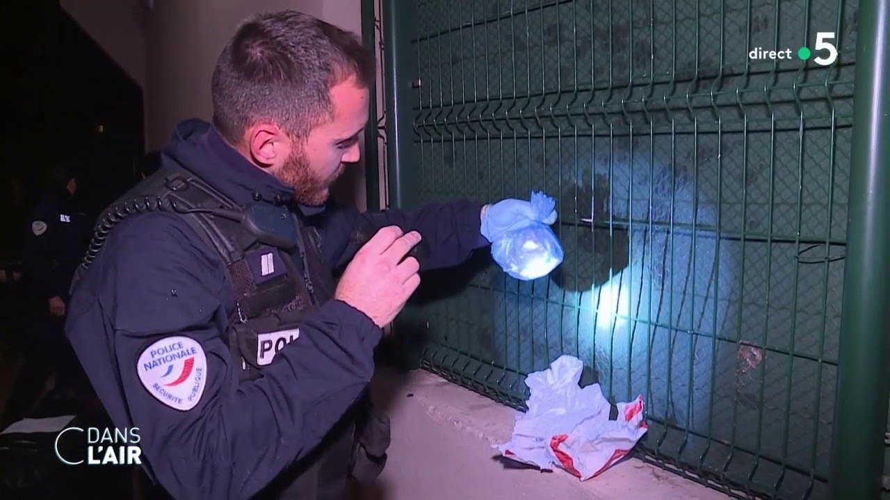 Sécurité : plus de pouvoir pour la police municipale ? - Reportage #cdanslair 29.07.2020