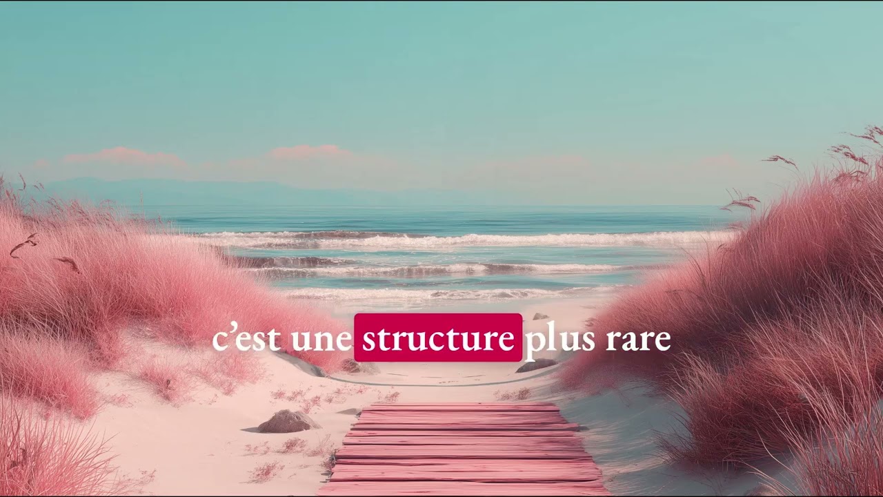 Leçon de français A2 Damien 19 03 2026