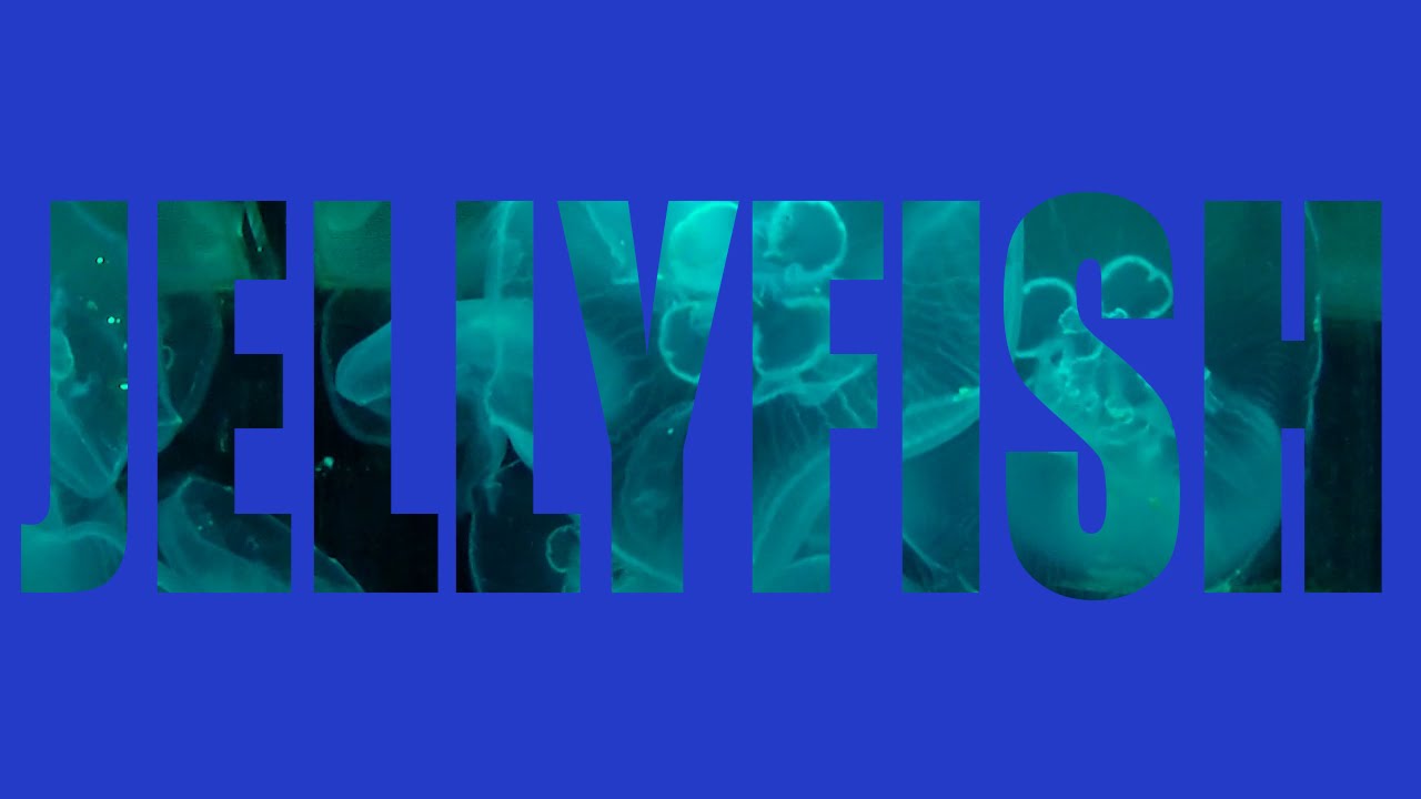Video in Text Photoshop Tutorial
