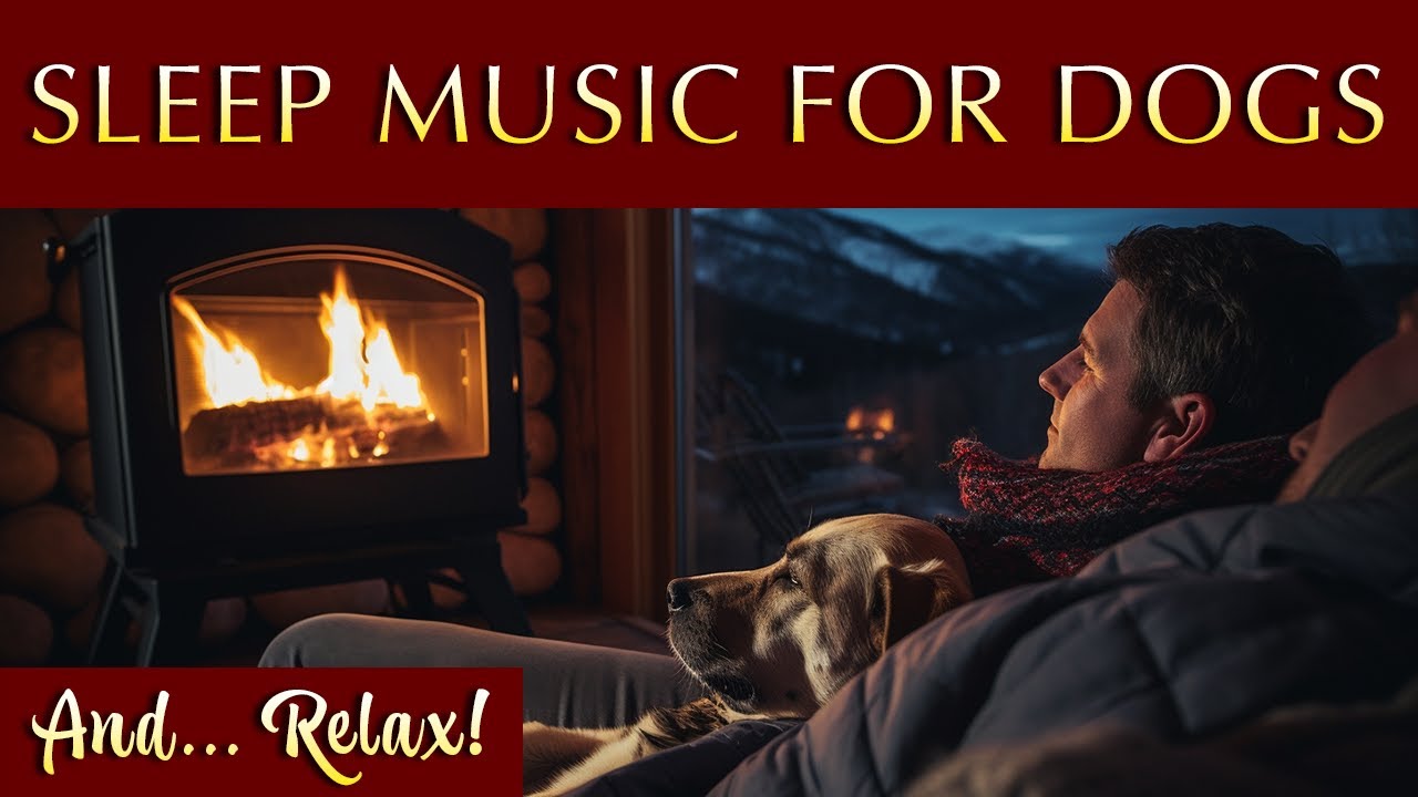 Sleepy Time for Canines and Companions 💤 Relaxing Music for Dogs and People