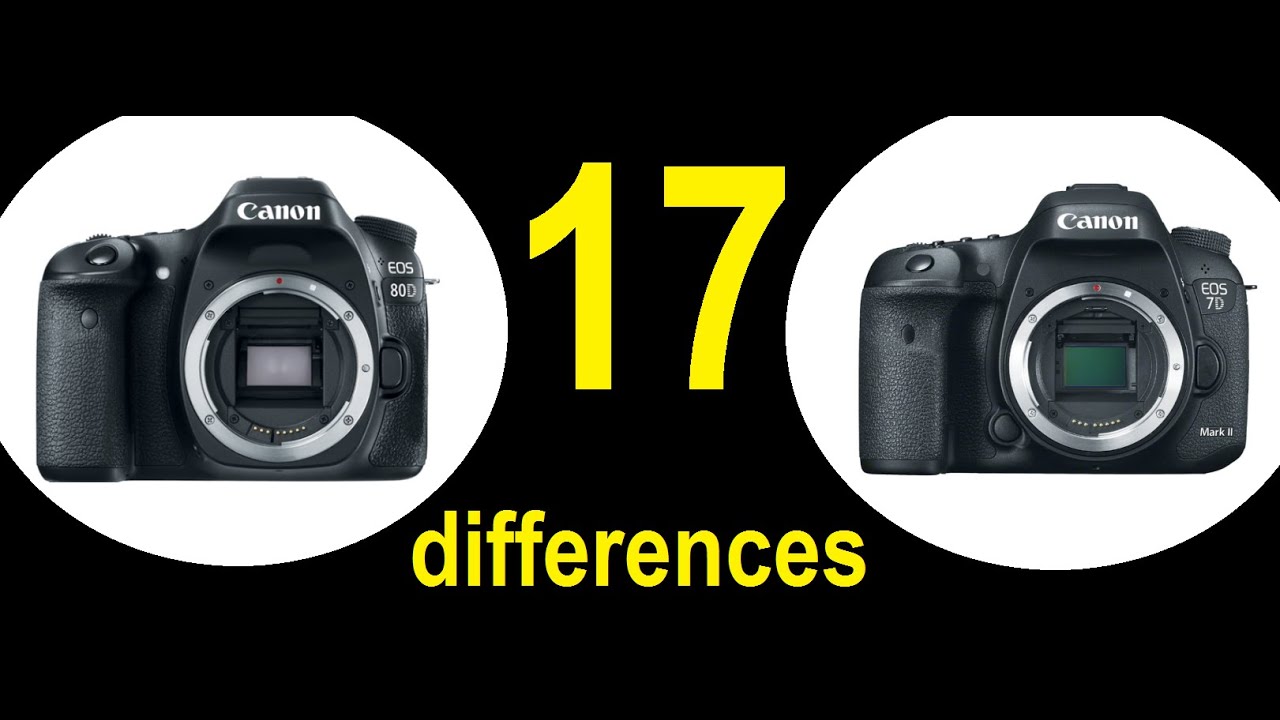 Differences and Similarities Canon 80D vs Canon 7D Mark II in 5 min