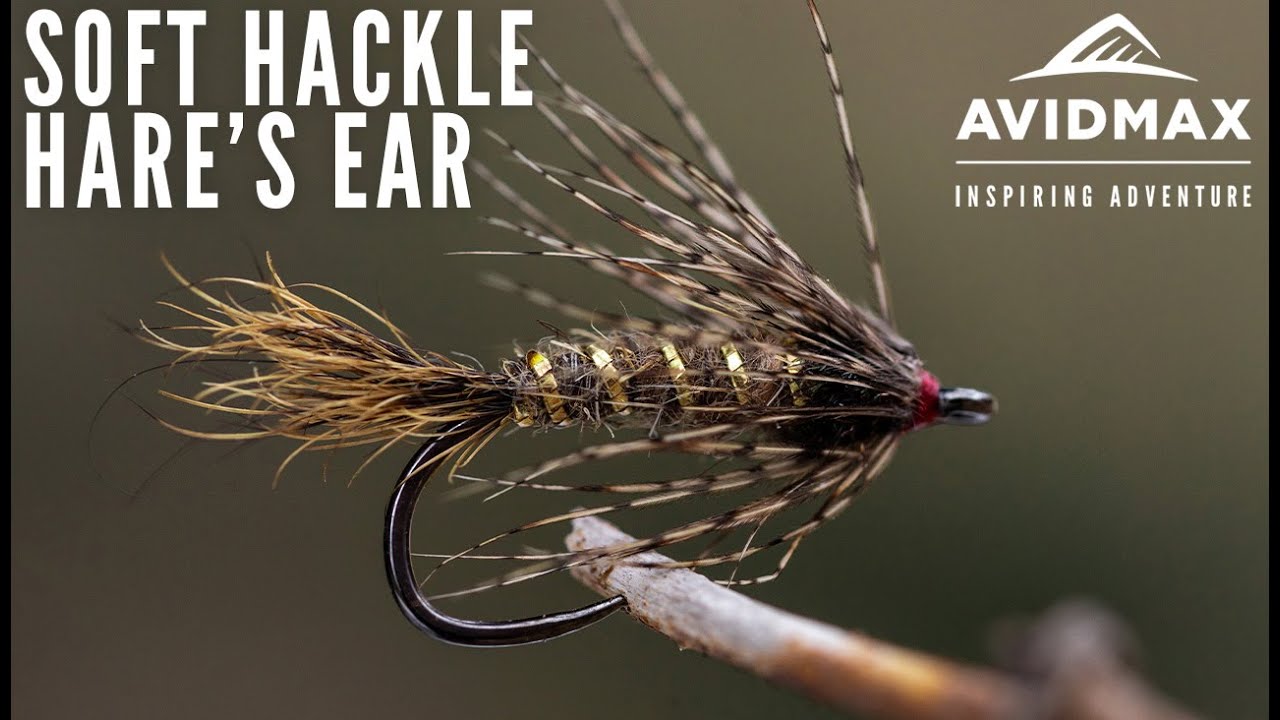 How to tie the Soft Hackle Hare's Ear | AvidMax Fly Tying Tuesday Tutorials