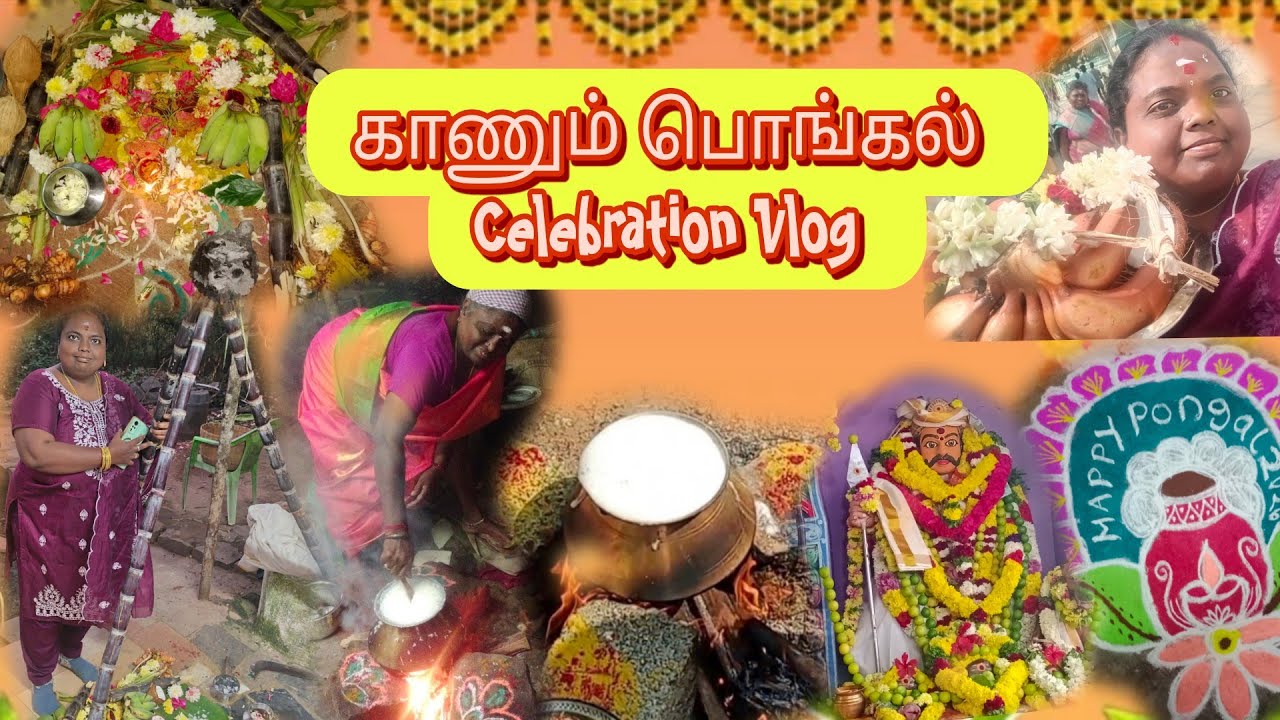 💥Kannum pongal celebration vlog/pongal vaithal & eruthattam🥳#tamilvlog #kannumpongal #eruthattam