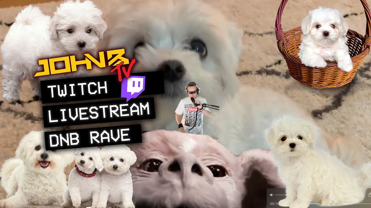 JOHN B's 'Black Friday' DRUM & BASS TWITCH RAVE [Friday 26 Nov 2021] #DNB #LIVESTREAM