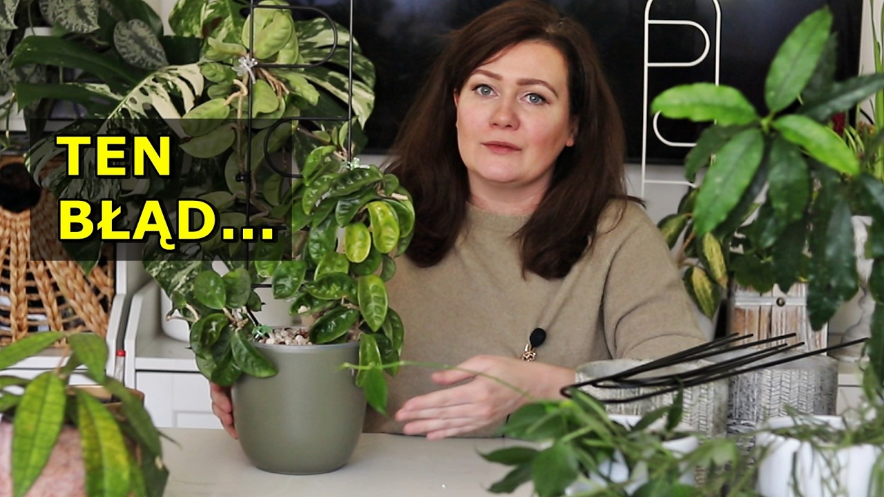 Źle prowadziłam moje hoye… aż do teraz | metamorfoza