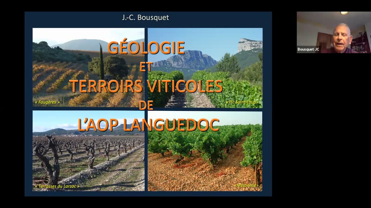 Géologie et terroirs viticoles de l'AOP Languedoc