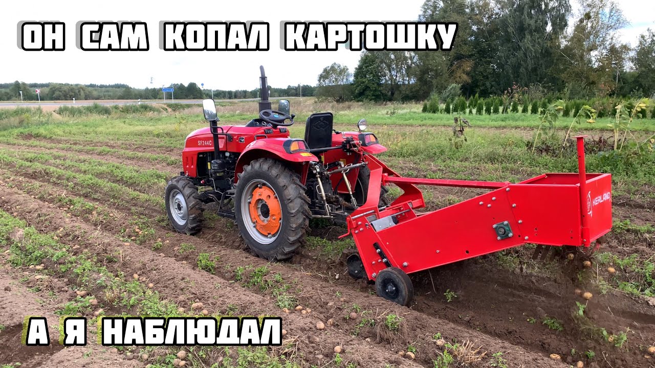 Трактор Shifeng sf 244c картофелекопалка kerland кт-1 он сам выкопал картошку