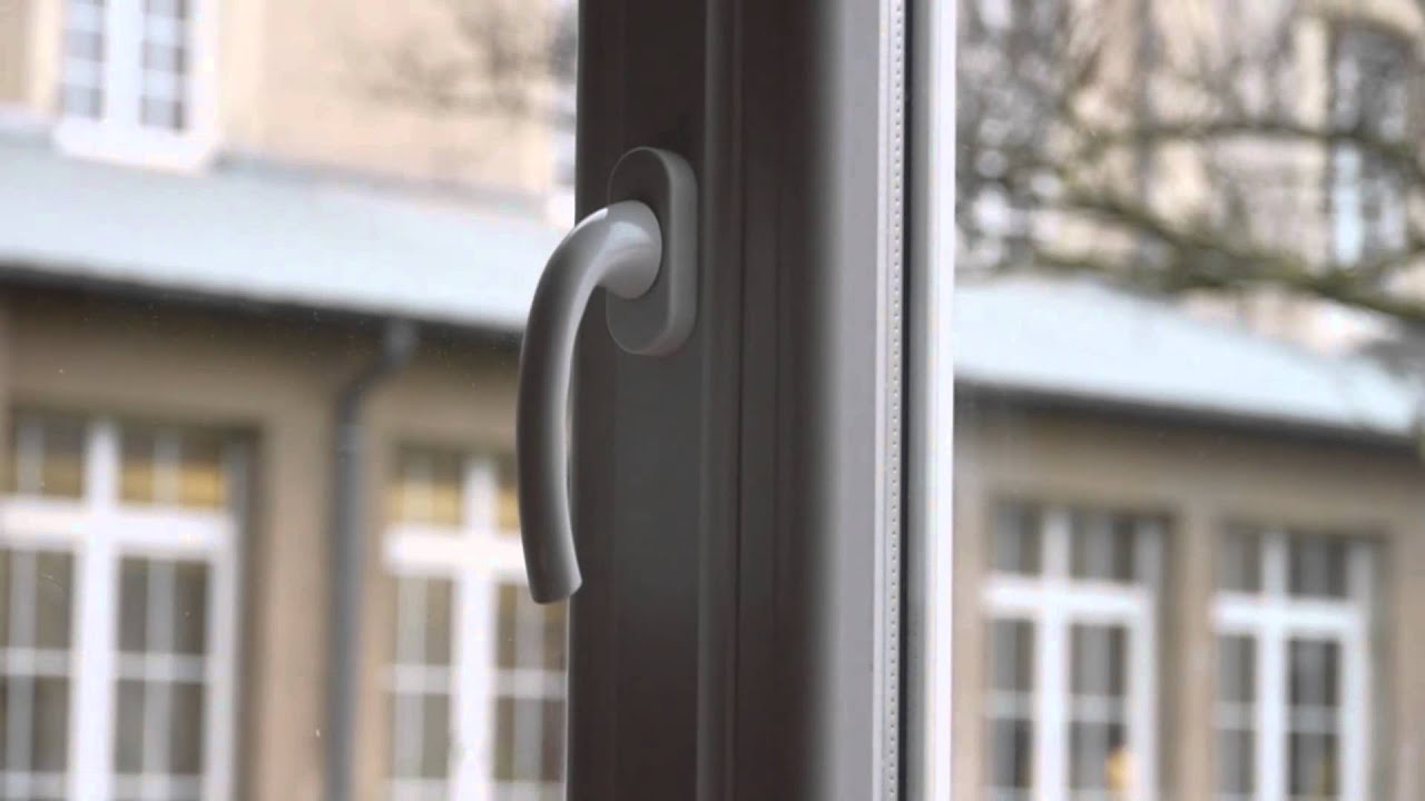 A Day In The Life of a Sciences Po Student