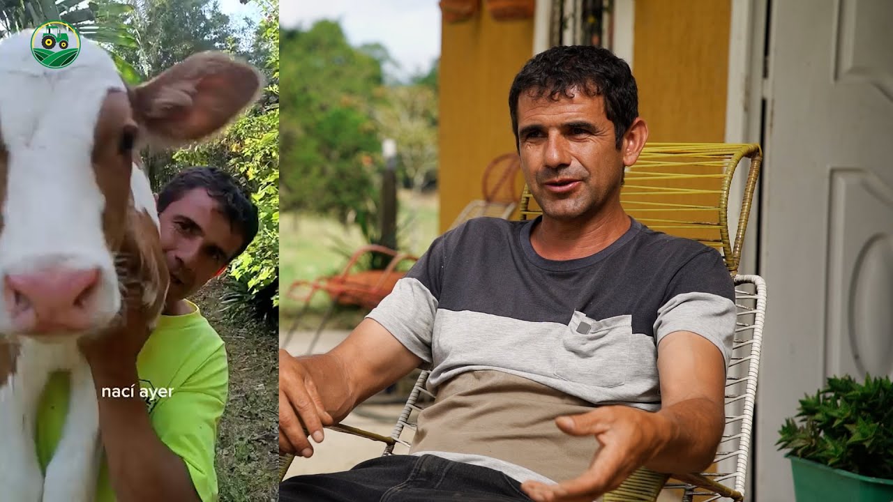 RENUNCIO a ser PROFESOR para crear contenido del campo y estar en su FINCA