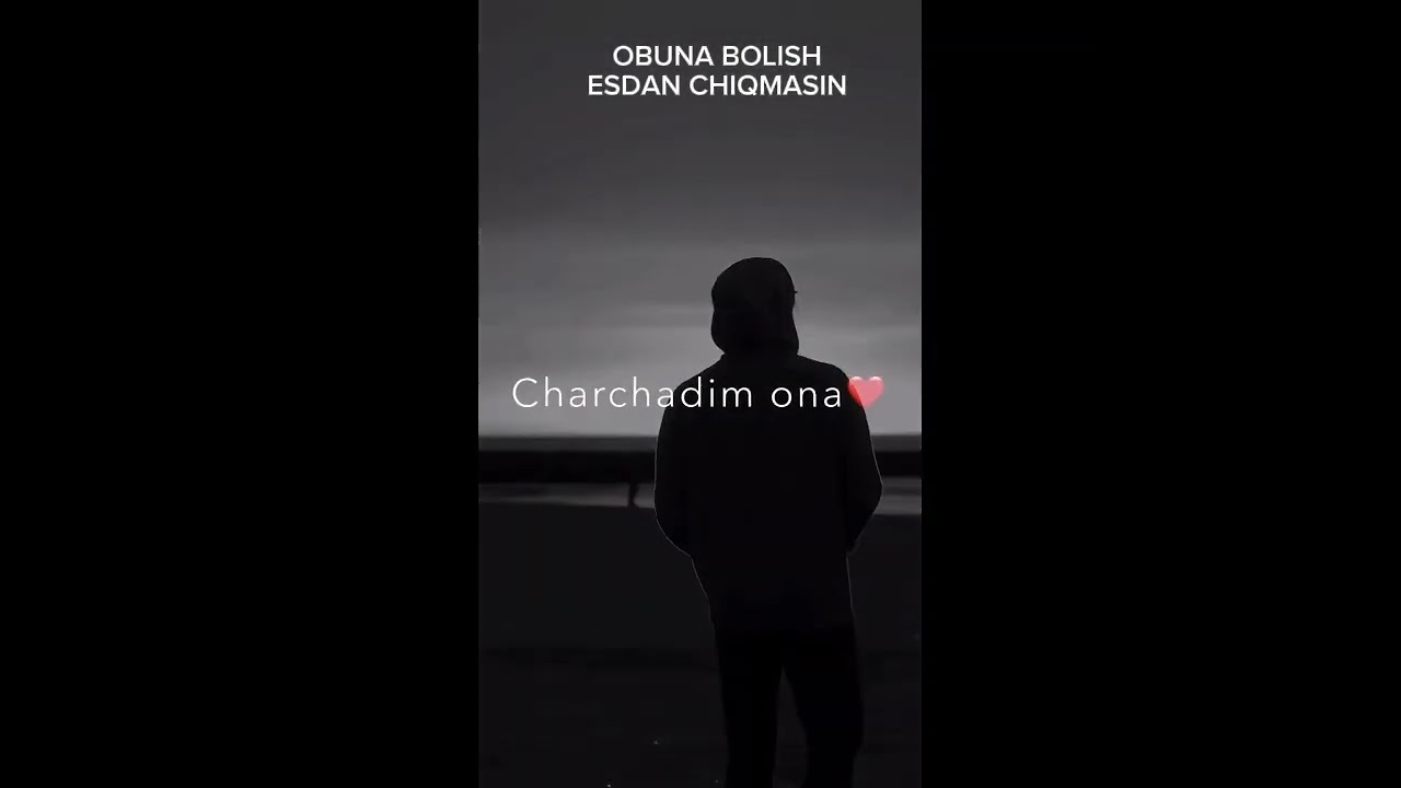 muzikali mashhur videolar toplami