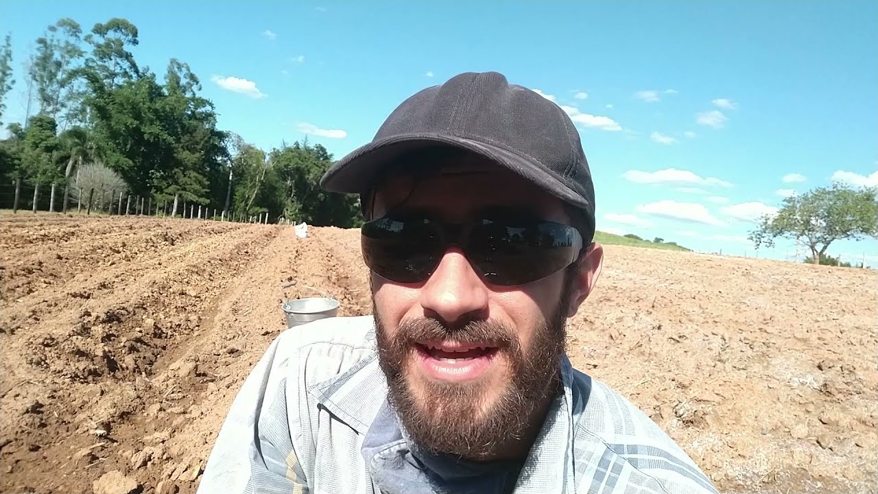 Aplicando calcário manualmente