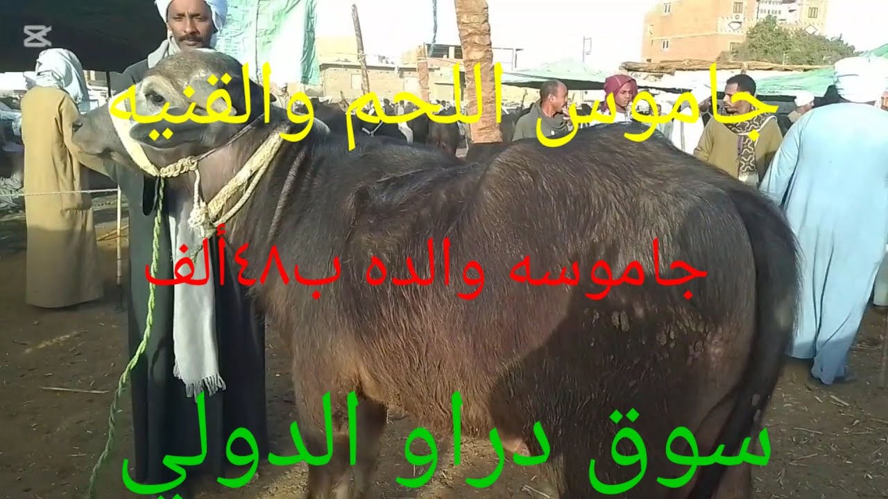 #اجمل