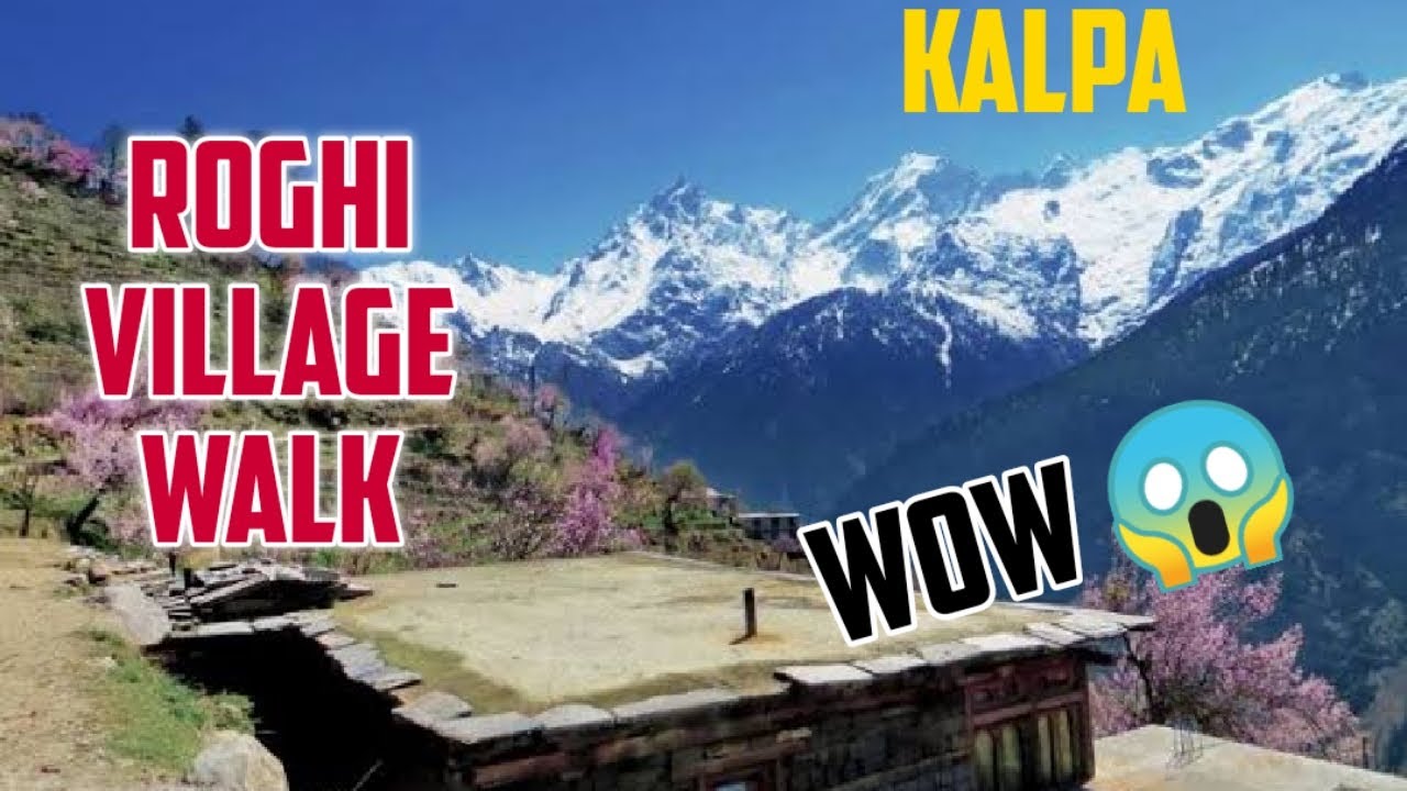 ROGHI-KALPA Village Walk, Kinnaur Himachal Pradesh ❤️