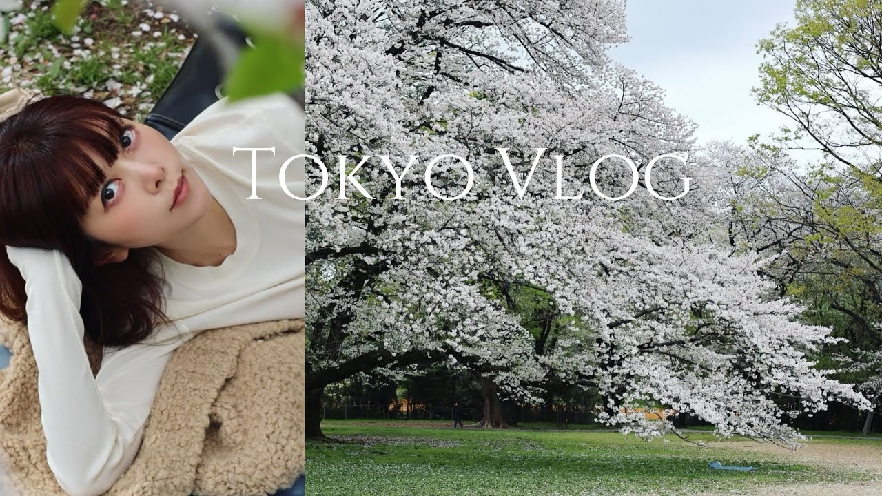 LIVING IN JAPAN｜🌸360度梦幻赏樱地🍵自由之丘老茶屋☕️好味咖啡厅推荐🤍夏季服饰分享