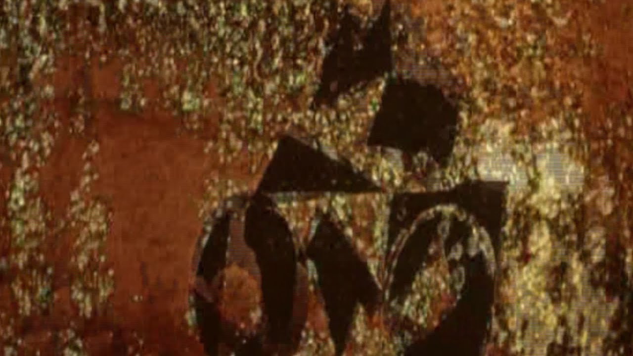 CZAR K&Oacute;ŁEK (1966) | Animacja | reż. Kazimierz Urbański