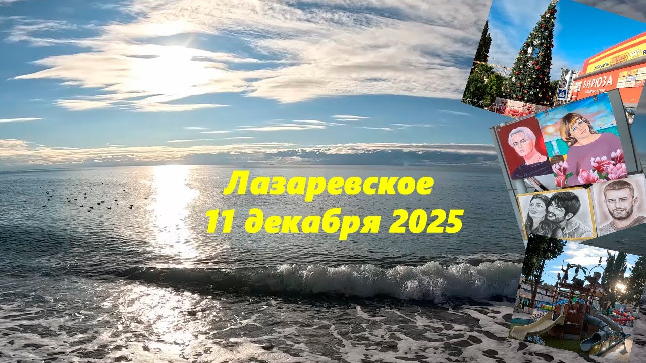 Лазаревское сегодня, 11.12.2025.