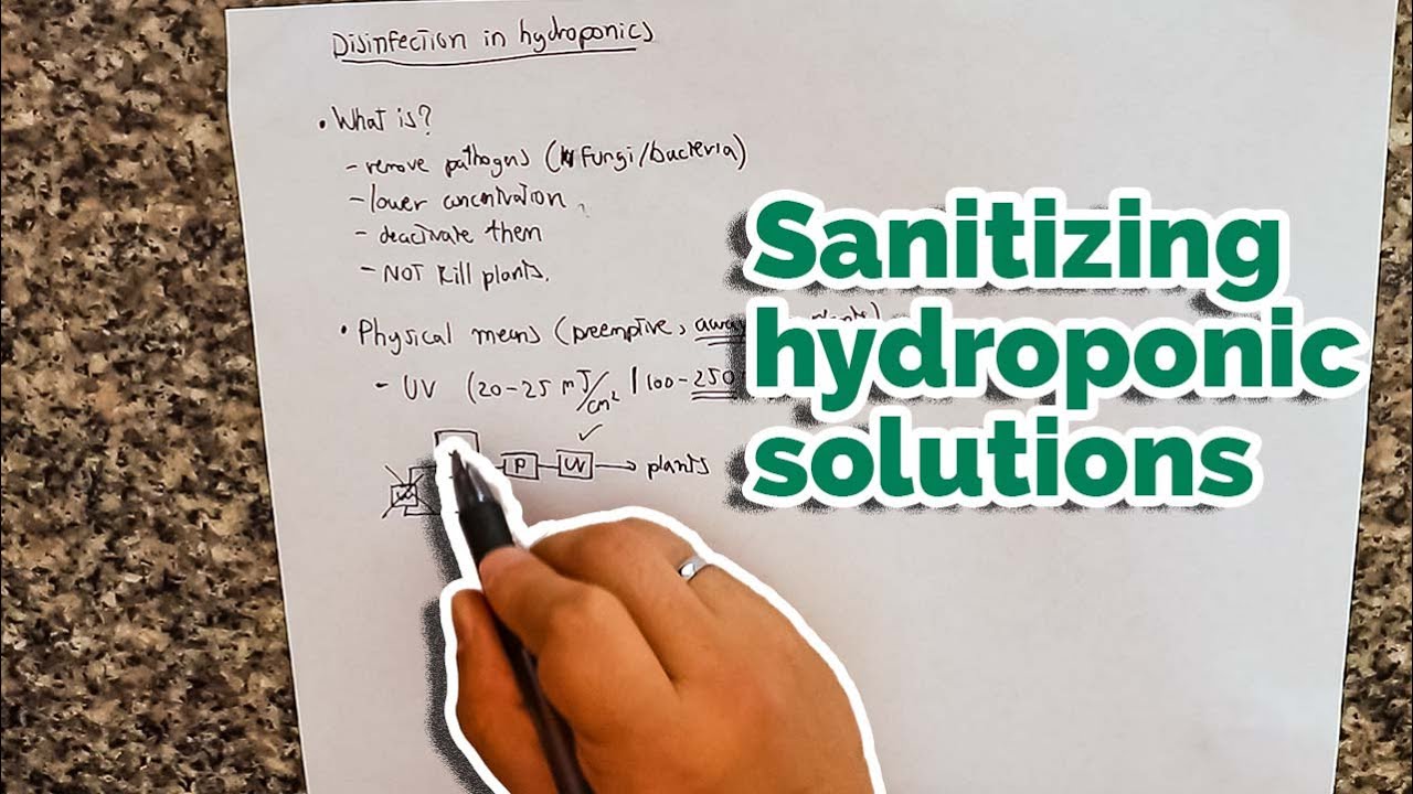 How to sanitize a hydroponic nutrient solution