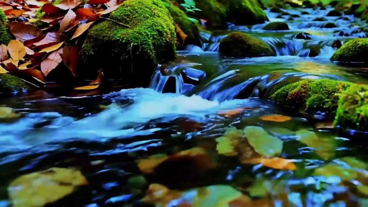 Soft Water Stream with Birdsong Nature Ambience for Stress Relief