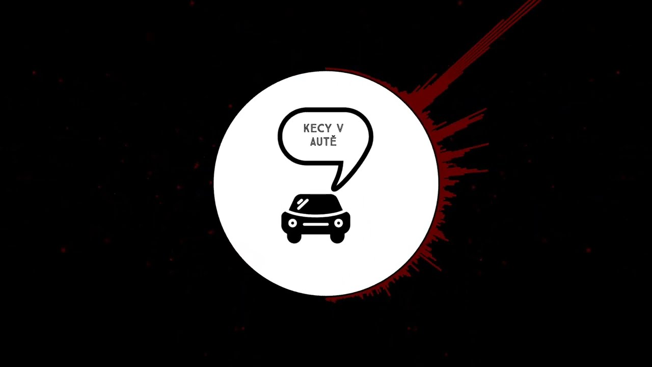 Kecy v autě - 2: Jak jsem ž&aacute;dal o nav&yacute;&scaron;en&iacute; platu