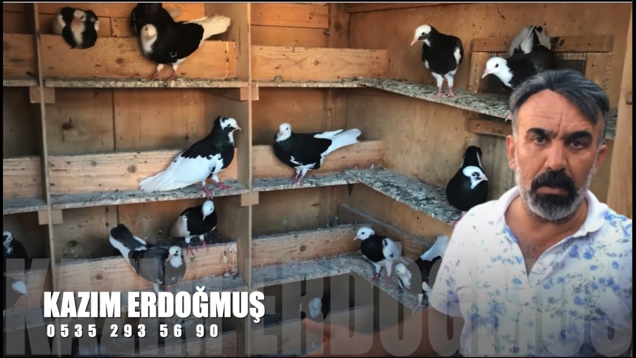Dönek Güvercin Sohbeti Kazım Erdoğmuş (Döşemeci)