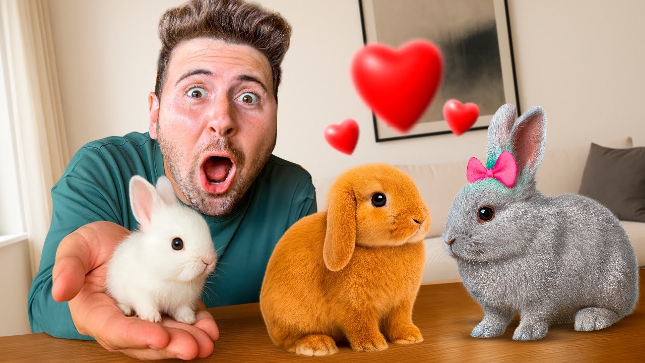 O COELHINHO ABANDONADO QUE ENCONTRAMOS NO LIXO TEVE UM FILHO!