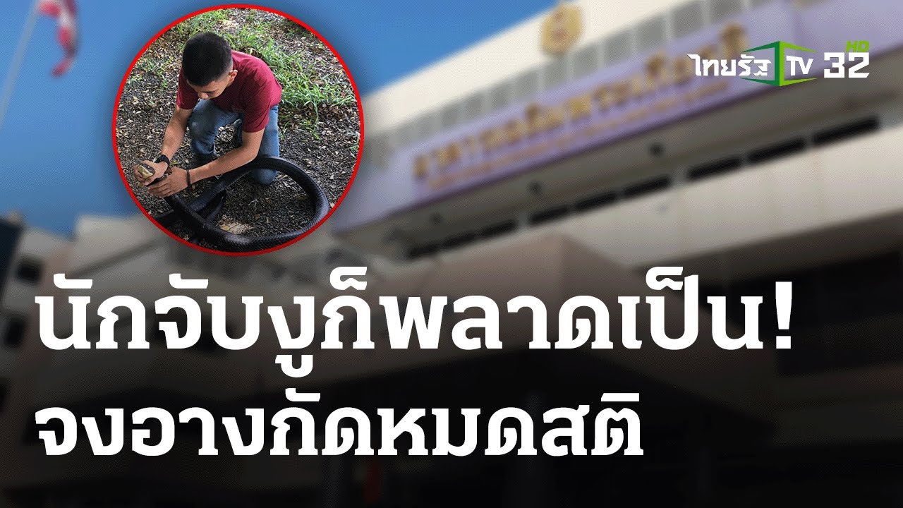 ครูฝึกอสรพิษวิทยา โดนจงอางฉกสาหัส | 15 ก.พ. 67 | ไทยรัฐนิวส์โชว์