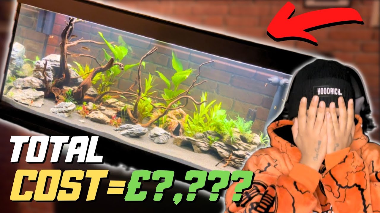Шокирующая цена моего комплекта Fluval Roma 240! Стоило ли оно того?