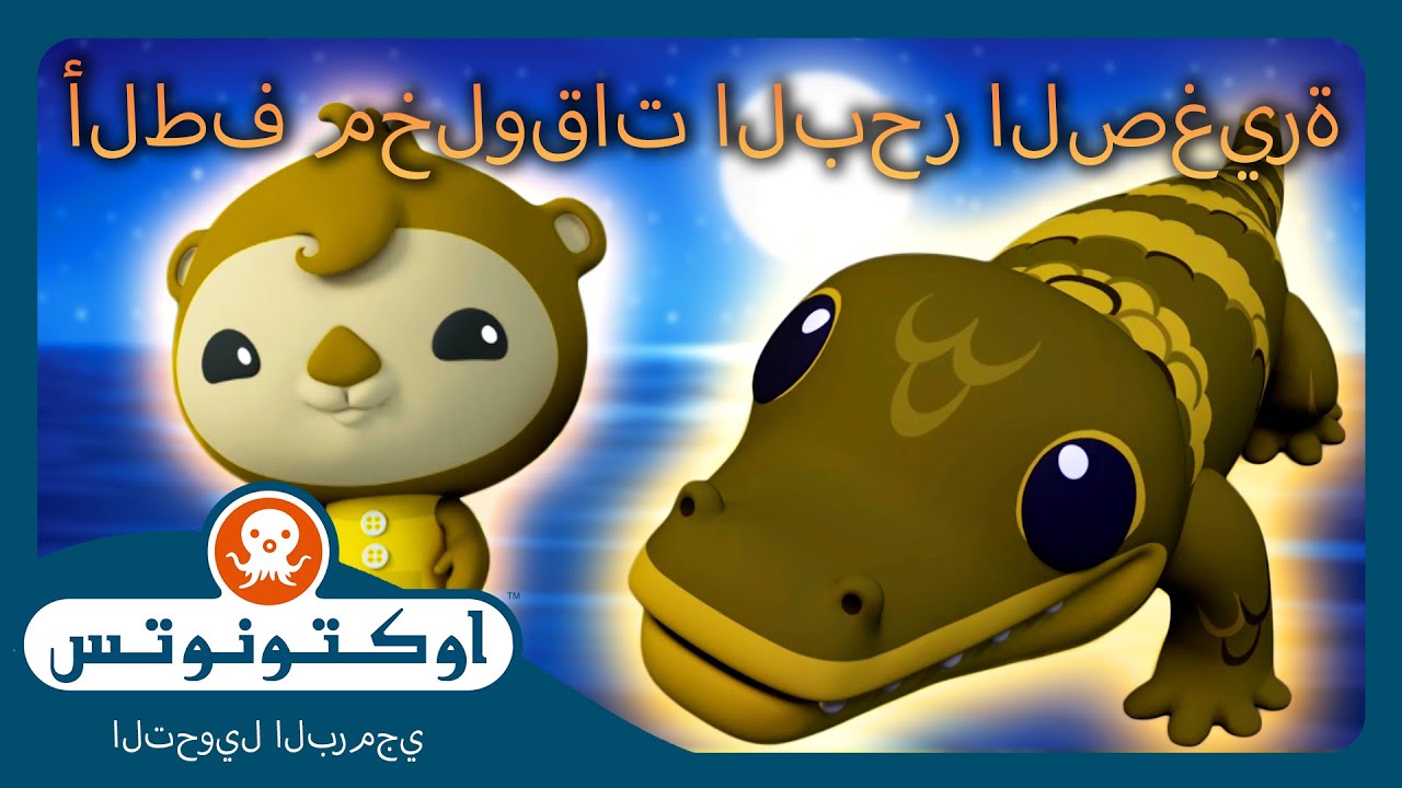 أوكتونوتس | 🦦 ألطف مخلوقات البحر الصغيرة 🐬 | حلقات مجمعة