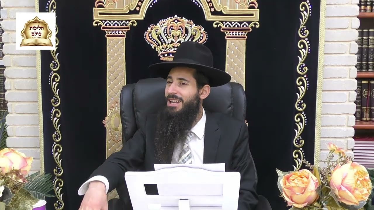 תיקוני ימי השובבי״ם- השלב הראשון | שיעור בתורת הגאון הינוקא שליט״א | הרה״ג לוי יצחק שוב שליט״א