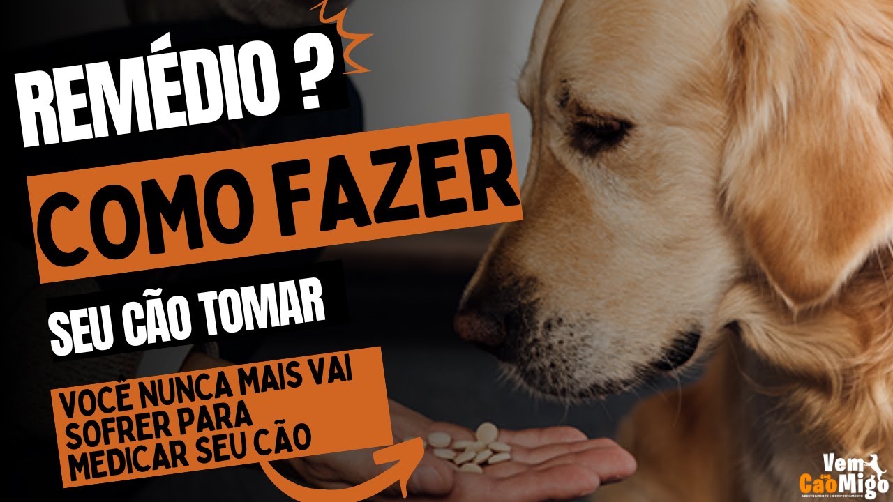 COMO DAR REMÉDIO PARA O CACHORRO - Não Sofra Mais - Método infalível