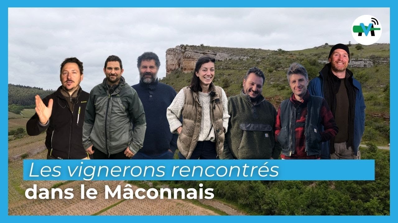 Mâcon : Rencontre avec les Vignerons de la Saône-et-Loire, en mars sur Médiavino