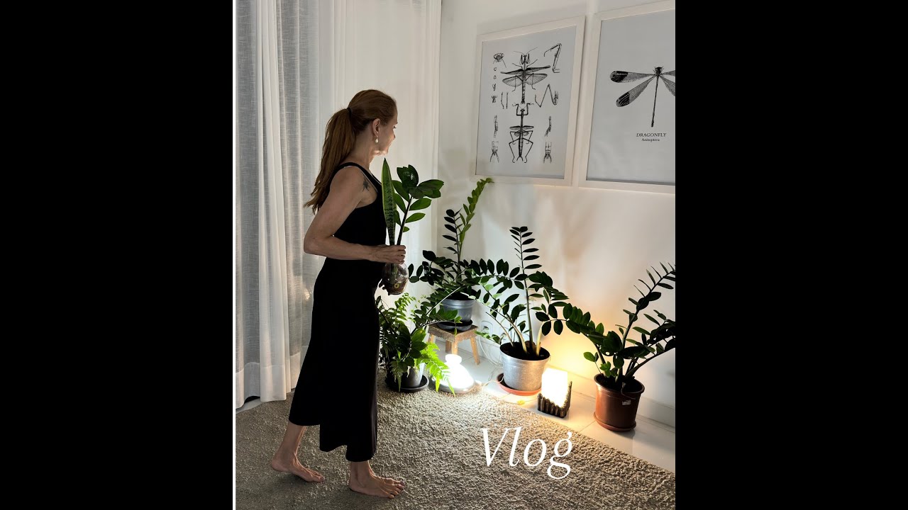 Rotina noturna no apê : plantas , café e um fim de noite calmo.