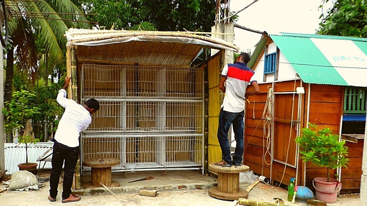 How to Make Pigeon Coop | Pigeons cage Setup inside Hut