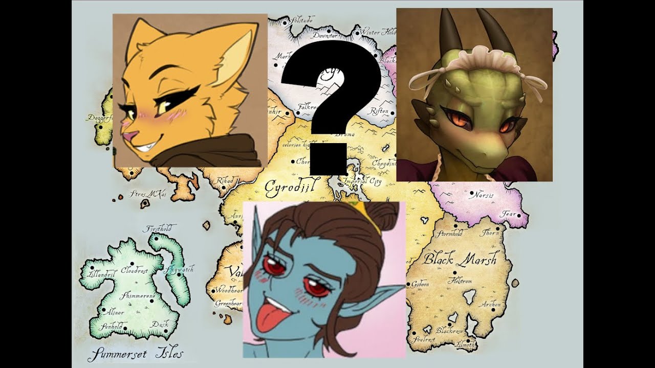 Which Elder Scrolls race are you?