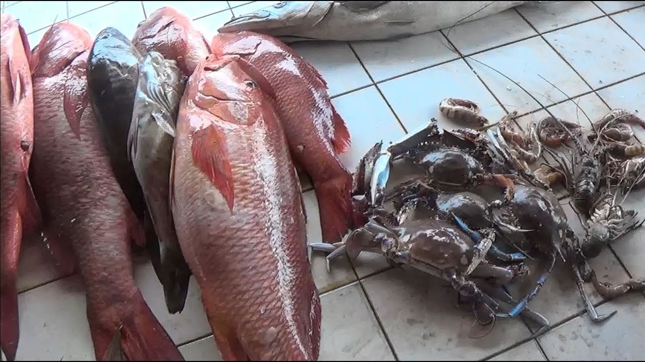 communauté Batanga kribi