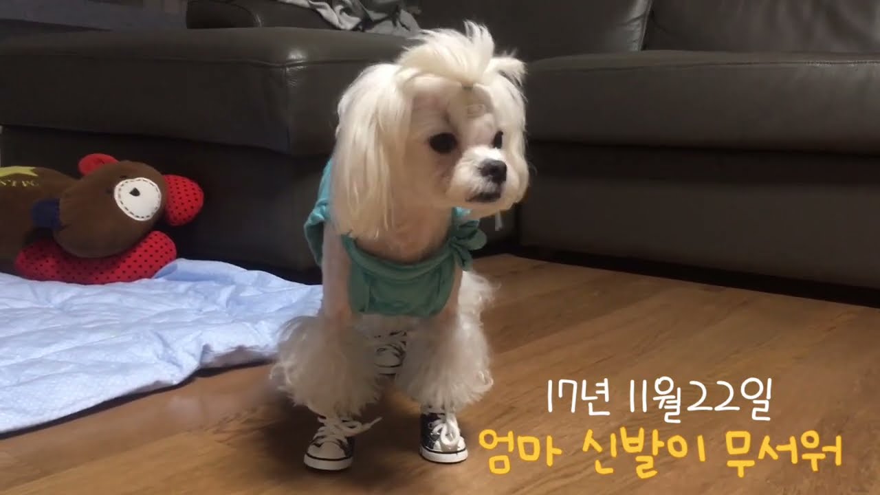 신발이 무서워서 걷기 힘들어