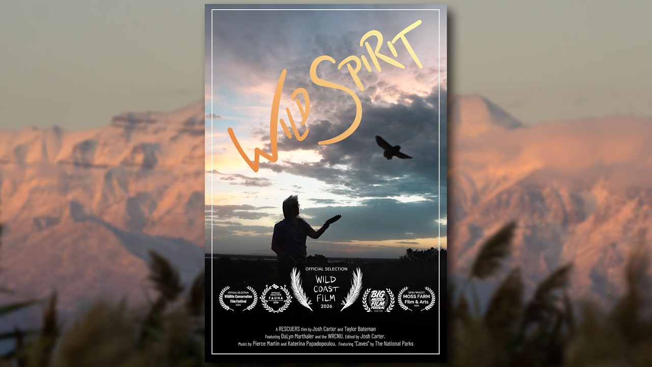 Wild Spirit | Wildlife Rehabilitation Documentary