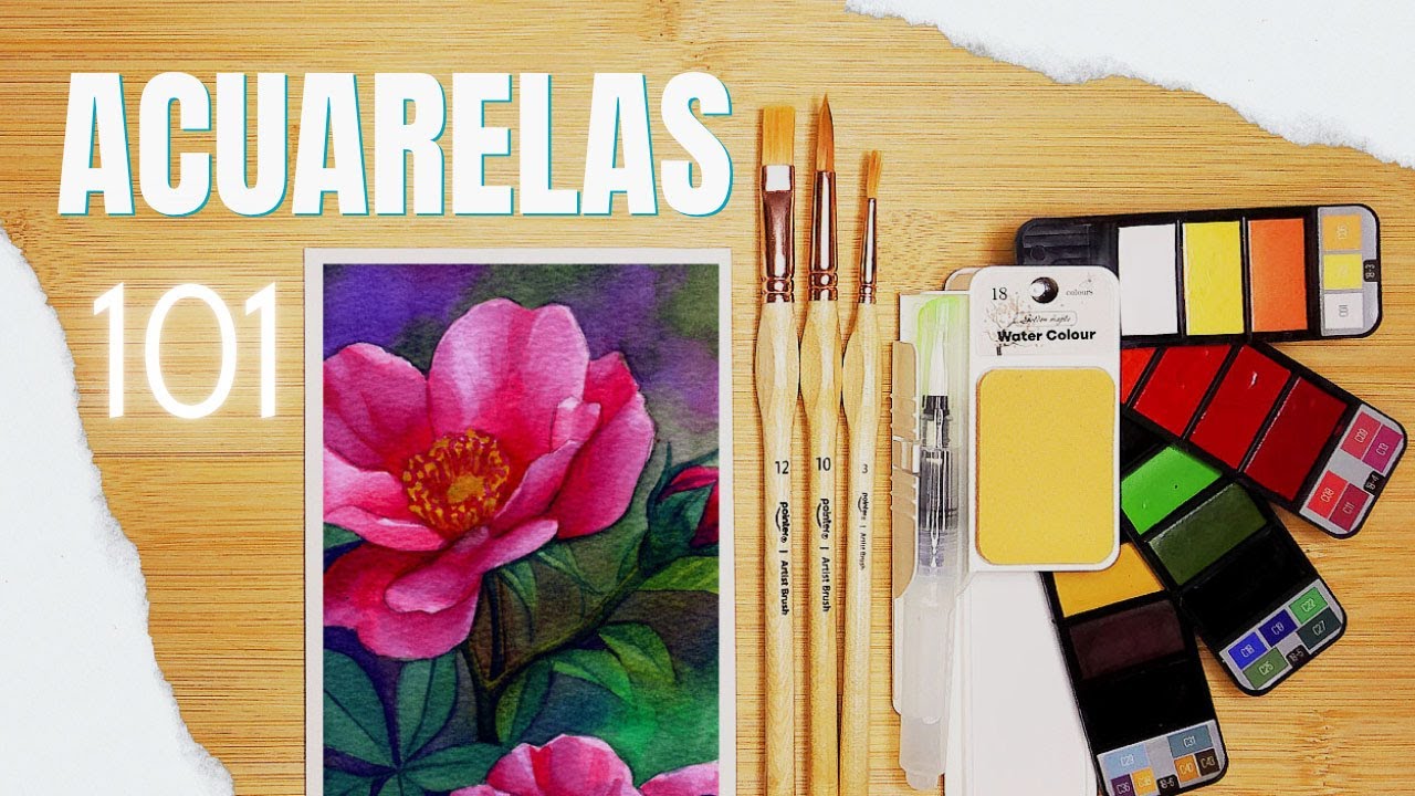 Evita errores: cómo elegir bien tus materiales de acuarela