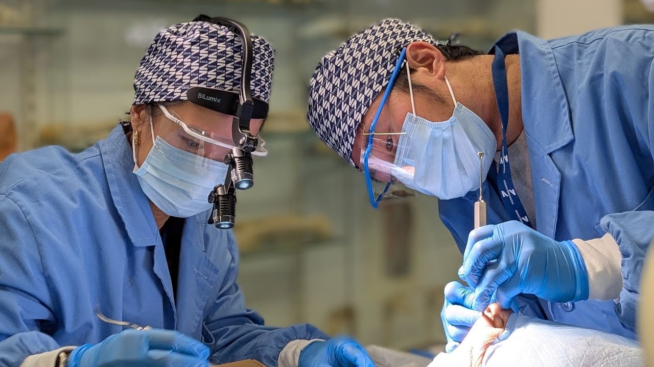 Participant Testimonials | ZAGA Cadaver Course in Barcelona January 2026