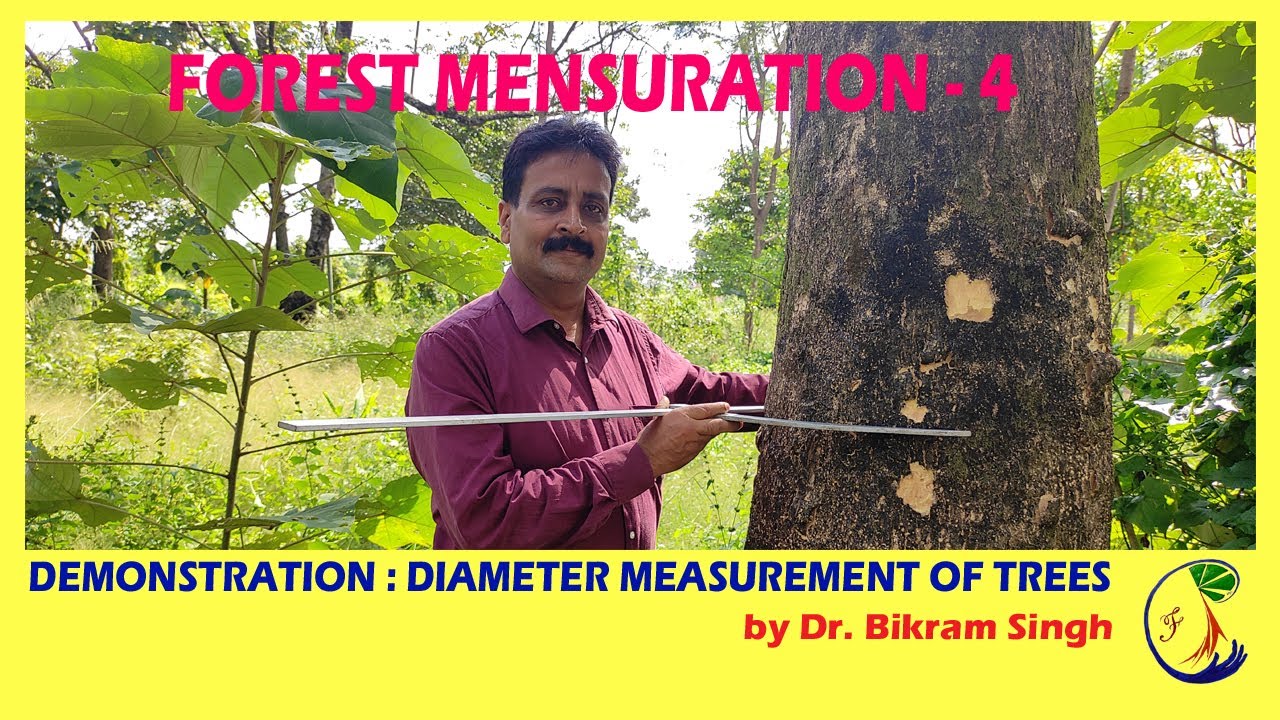 Forest Mensuration - 4 , Demonstration : Diameter measurement of Trees by Dr. Bikram Singh