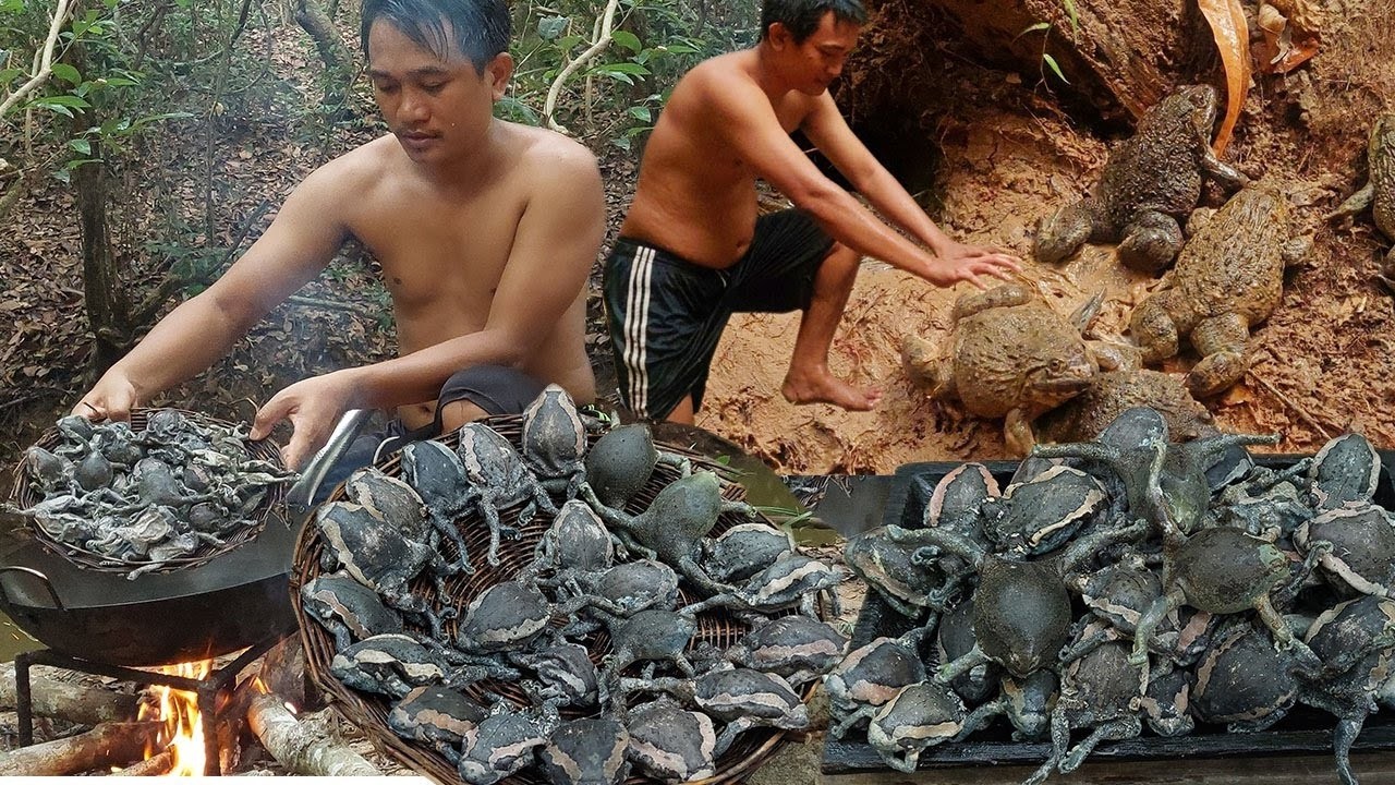 Primitive catch and cook Catch banded bullfrog for food + 2 videos cooking frogs and snails
