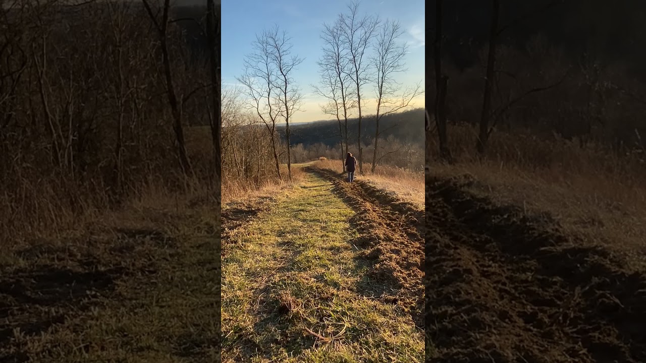 Adding more beds!!  #outdoors #wildflowers #beautifulview #tilling