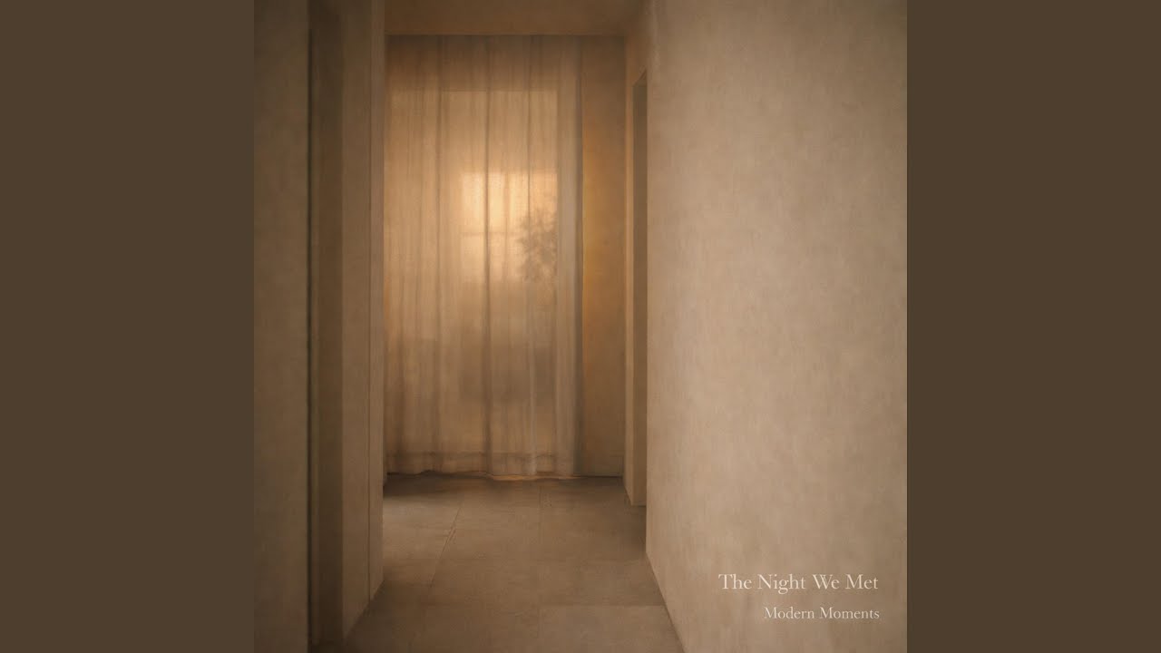 The Night We Met