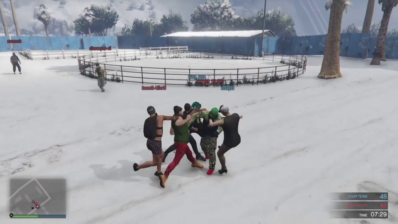 Gta 5 ring fight