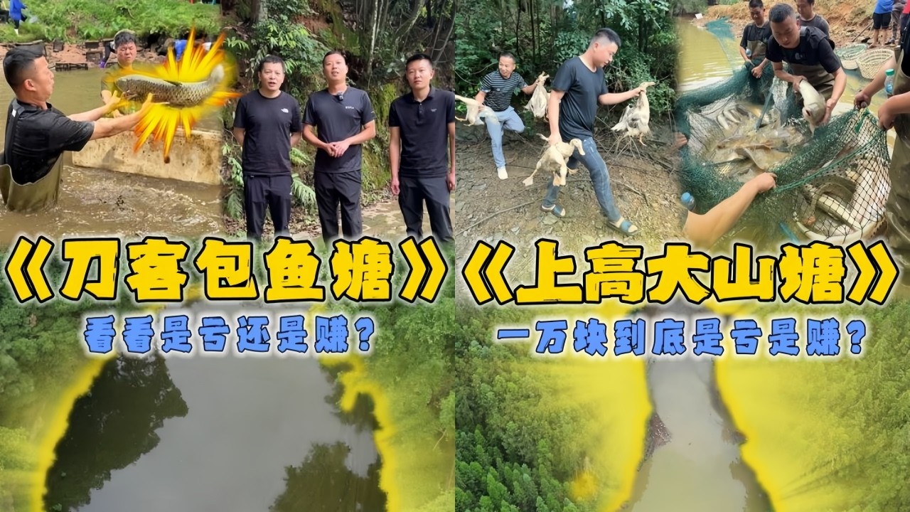 小飞哥花5600元带西北刀客包下4年没干的鱼塘，看看里面鱼会有多大？｜花10000元包下的养鸭场鱼塘，看看到底是赚还是亏？