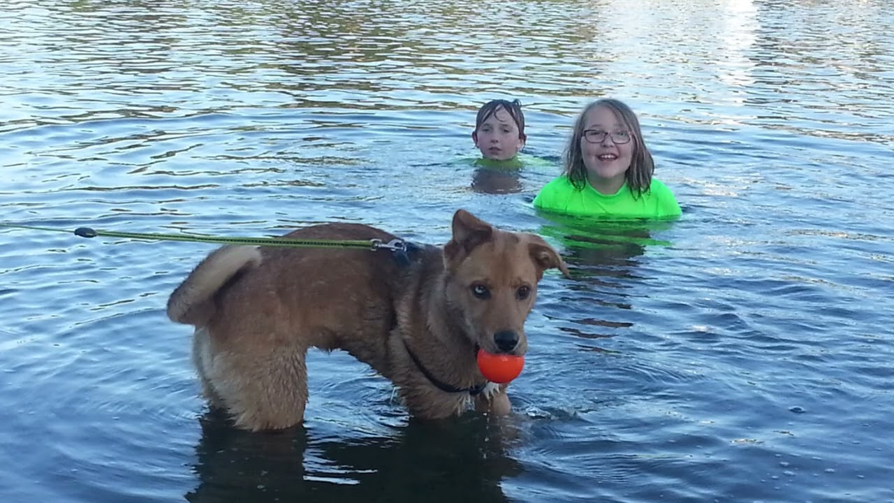 Happy 9th birthday lovely other 🐶